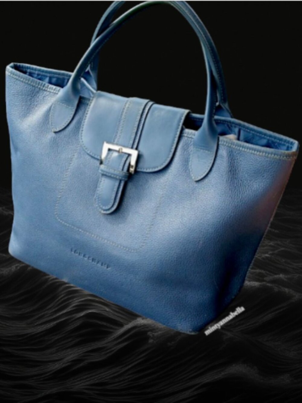 Longchamp RARE Cornwall Blue EXPANDABLE Satchel | Made in France